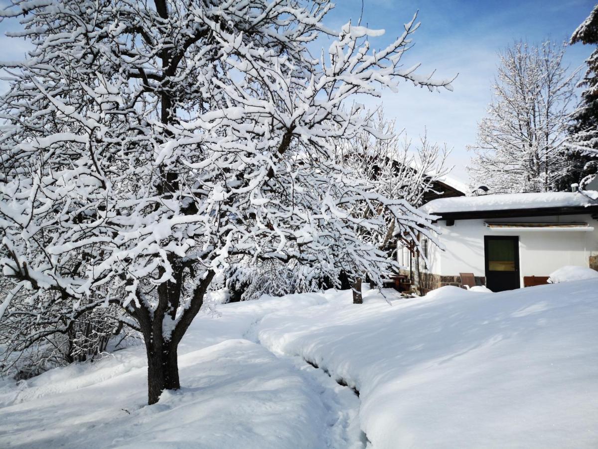 Appartchalet La Rondula Aparthotel Ortisei Exterior photo