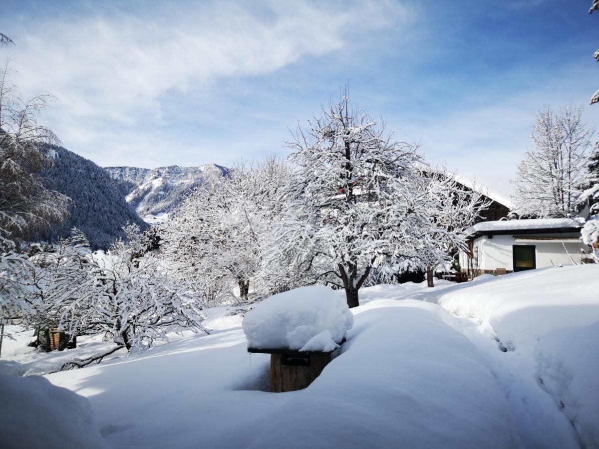 Appartchalet La Rondula Aparthotel Ortisei Exterior photo